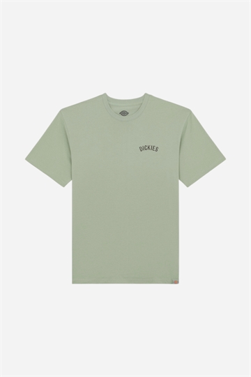 Dickies Snake Tee - Iceberg Green