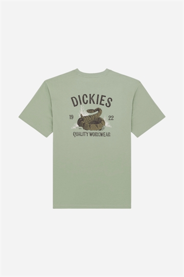 Dickies Snake Tee - Iceberg Green