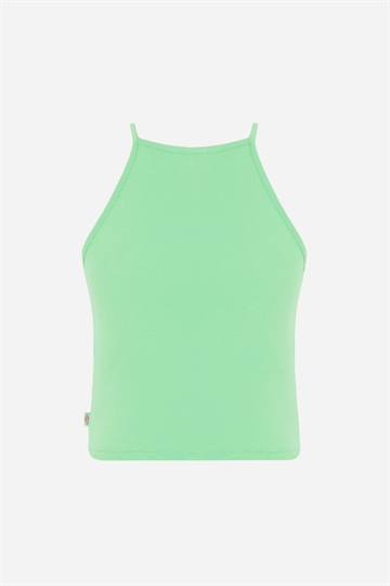 Dickies Linne - Chain Lake - Apple Mint