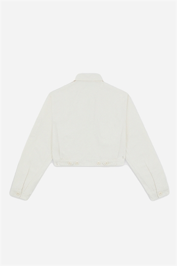 Dickies Jacka - Duck Canvas - Cloud