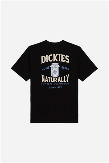 Dickies Elliston T-shirt - Svart