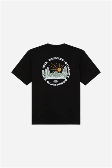 Dickies Outdoor Tee - Svart