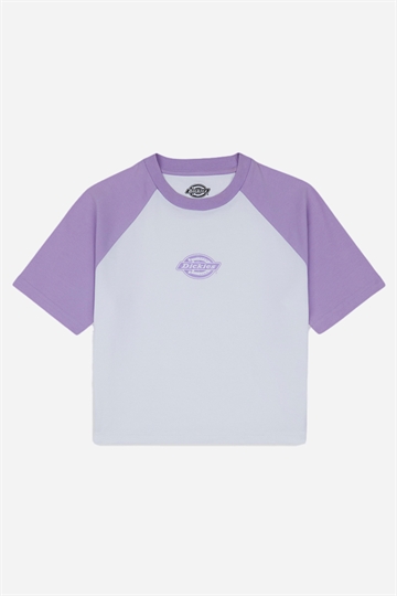 Dickies T-shirt - Sodaville - Apple Mint