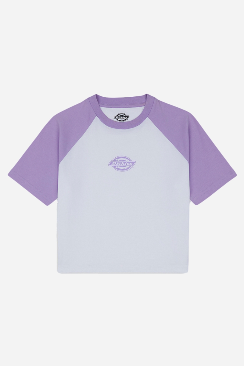 Dickies T-shirt - Sodaville - Apple Mint