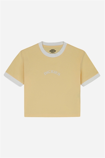 Dickies Varm Spring Top - Impala