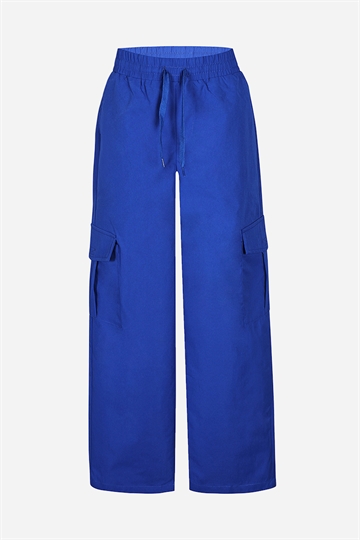 DWG Cargo Pant - Kim - Blue Jewel