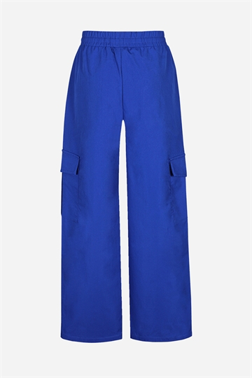 DWG Cargo Pant - Kim - Blue Jewel