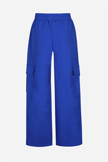 DWG Kim Cargo Pant - Blue Jewel