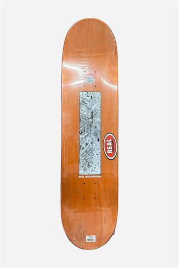 Real Chima Where\'s 8,28" däck - Orange